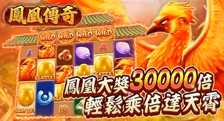 老虎財神娛樂城鳳凰傳奇